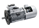 Vaxelstromsmotorer